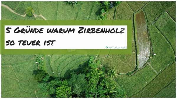 5-Gr-nde-warum-Zirbenholz-so-teuer-ist